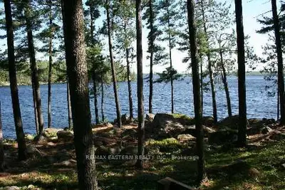 677 Wao, Trent Lakes, On K0l 1j0