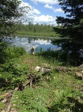0 Con 8 W, Pt Lot 19 Road, Havelock-belmont-methuen, On Kol 1z0