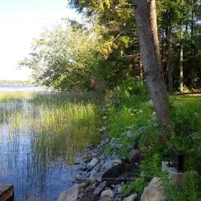 Lot 12 Thompson Lane, Kawartha Lakes, On L0k 1w0