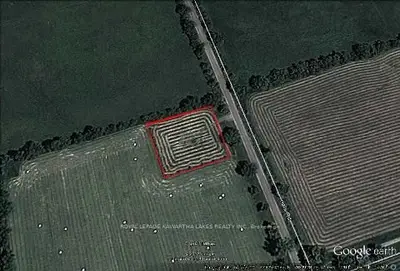 Lot 8 Halls Road, Kawartha Lakes, On K9v 4r1