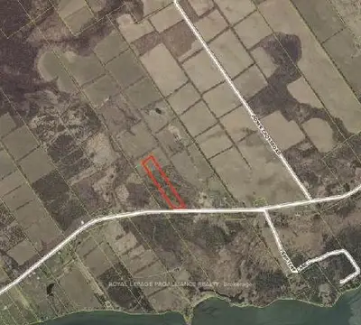 3305 County Road 8, Prince Edward County, On K0k 2t0