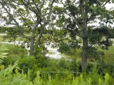 Lot 101 Plan 17 Island Road, Prince Edward County, On K0k 2t0