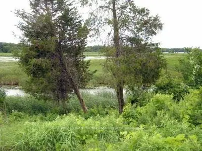 Lot 104 Plan 17 Island Road, Prince Edward County, On K0k 2t0