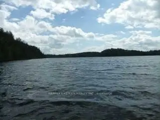 22 Fire Route 311, Trent Lakes, On K0l 1j0