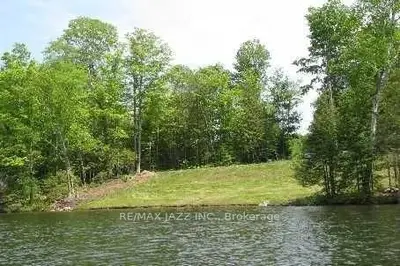 0 Fireroute 294b Street, Trent Lakes, On Xxx Xxx