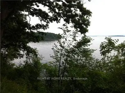 94 Cow Island, Otonabee-south Monaghan, On K0l 1b0