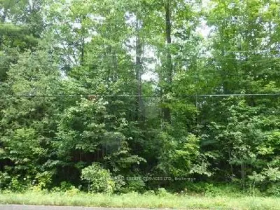 0 Riverside Drive, Kawartha Lakes, On K0m 1a0