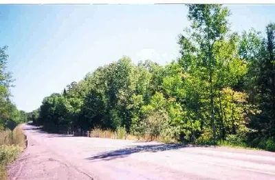 L17 Monck Road, Kawartha Lakes, On K0m 2l0