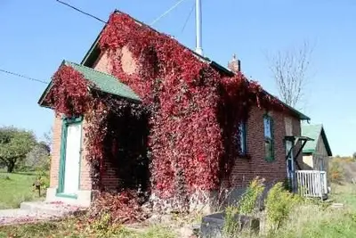 952 Elm Lodge Road, Trent Lakes, On K0l 1j0
