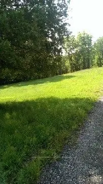 Vacant Land in Brant