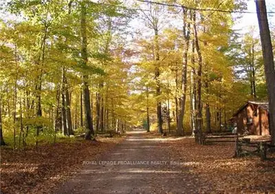 N/t 104 Goodman Crescent, Prince Edward County, On K0k 2p0