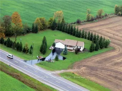 1351 Hwy 7, Kawartha Lakes, On K0m 2m0
