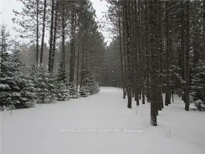 Pt Lot2 Highway 121, Kawartha Lakes, On K0m 2a0