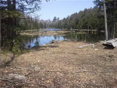 00 Balmer Road, North Kawartha, On K0l 1a0