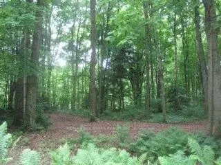 0 Woodfield Drive, Kawartha Lakes, On K0m 1n0