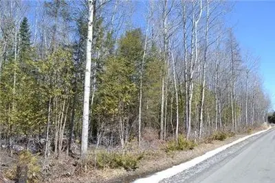 65 Matheson Beach Road, Kawartha Lakes, On K0m 1b0