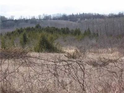Lot 5 Fingerboard Road, Kawartha Lakes, On K0m 2c0