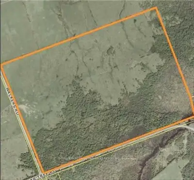 0 Walkers Road, Kawartha Lakes, On K0m 1n0