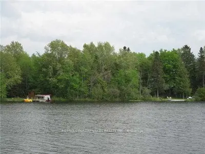 Lot 9 Hargrave Road, Kawartha Lakes, On K0m 2b0