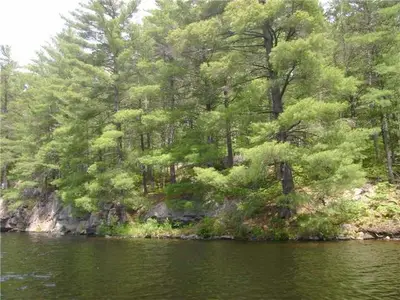 42 Ranger Bay, Muskoka Lakes, ON P0H 1S0