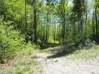 50 Hughes Landing Road, Addington Highlands, On K0h 1k0