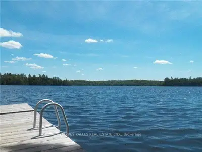 32 Fire Route 342, Trent Lakes, On K0m 2a0