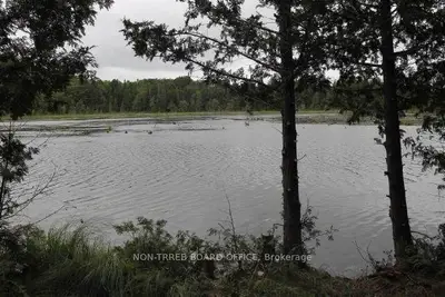 Lot 16 Grantsville Trail, Trent Lakes, On K0l 1j0
