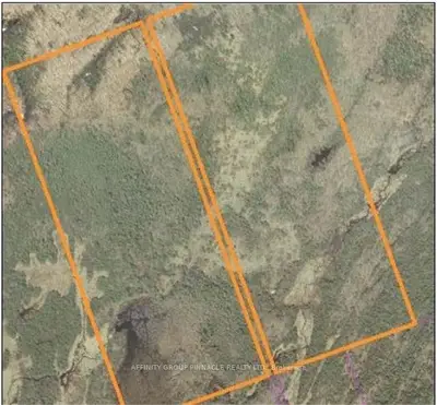 16 Concession 4, Trent Lakes, On K0m 1a0