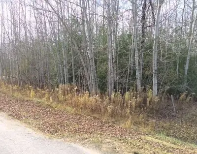 Lt 9 Pinewood Boulevard, Kawartha Lakes, On K0m 2t0