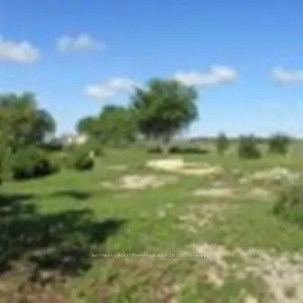1113 Kirkfield Road, Kawartha Lakes, On K0m 2t0