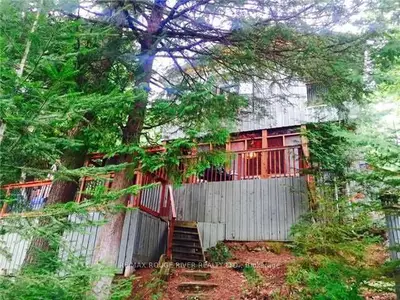95 Gunter Lane, Tudor And Cashel, On K0l 1w0