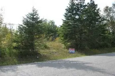 259 County Road 41 Road, Kawartha Lakes, On K0m 2b0