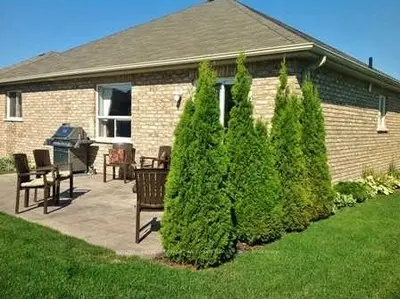 1 Horton Place Place, Kawartha Lakes, On K9v 0c2