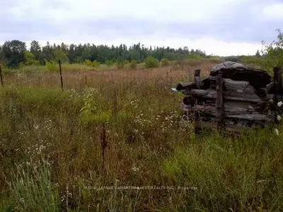 30 Rocky Ridge Road, Kawartha Lakes, On K0m 2b0