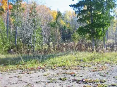 00 Francis Street E, Kawartha Lakes, On K0m 1n0