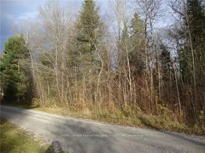 0 Brook Road, Kawartha Lakes, On K0m 1n0