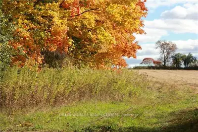0 Shamrock Road, Kawartha Lakes, On K0l 2w0
