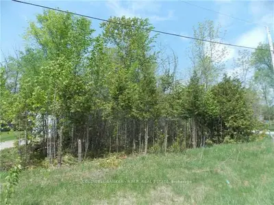 Lt 37 Centennial Park Road, Kawartha Lakes, On K0m 2b0