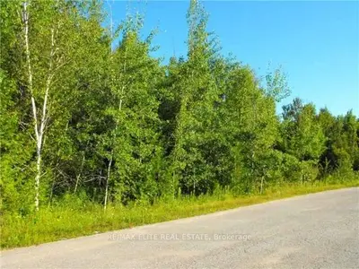 Lot 27 Pinewood Boulevard S, Kawartha Lakes, On M0m 2b0