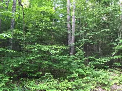 County Road 47 Road, Havelock-belmont-methuen, On, K0l 1z0