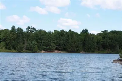 600 Fire Route 345 Road, Trent Lakes, On K0m 2a0