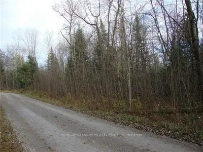 146 Brook Road, Kawartha Lakes, On K0m 1n0