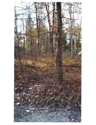 Lot 21 Stanley Road, Kawartha Lakes, On K0m 2t0