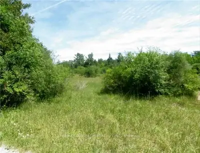 Lot 58 Brotherston Gate, Kawartha Lakes, On K0m 2b0