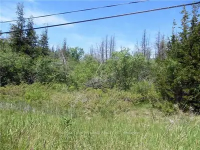 Lot 4 Portage Road, Kawartha Lakes, On K0m 2b0