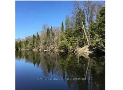 90 Kozy Kove Road E, Kawartha Lakes, On K0m 1c0
