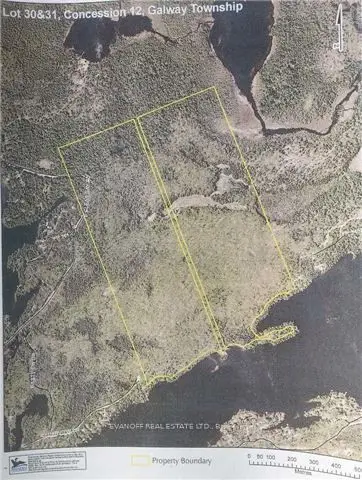 Lot 31 Conc 12, Trent Lakes, On K0m 1n0