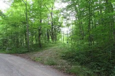 12 Juniper Drive, Kawartha Lakes, On K0m 1n0