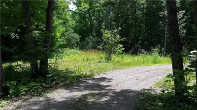 1851 Crystal Lake Road, Trent Lakes, On K0m 2a0