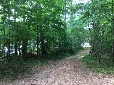 124 Otter Lake Cottage Road, Huntsville, On P1h 2j3